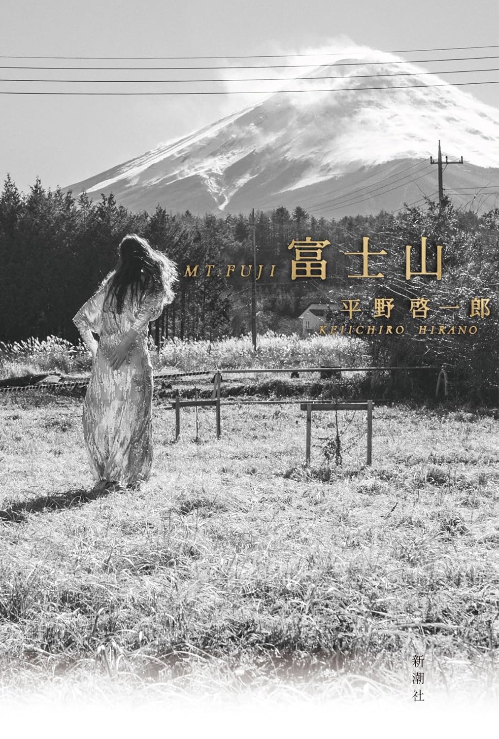 16《Mt. Fuji》
